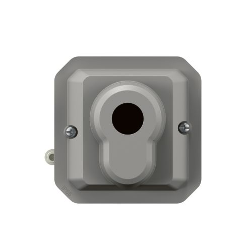 Plexo New IP55 componível - Interruptor com chave DIN - 2 posições, Cinzento