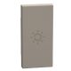 Light Now - Tecla axial com símbolo lâmpada - 1 módulo - Stone
